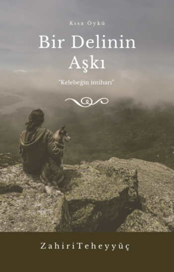 BİR DELİNİN AŞKI kapağı